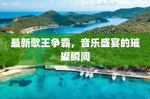 最新歌王争霸，音乐盛宴的璀璨瞬间
