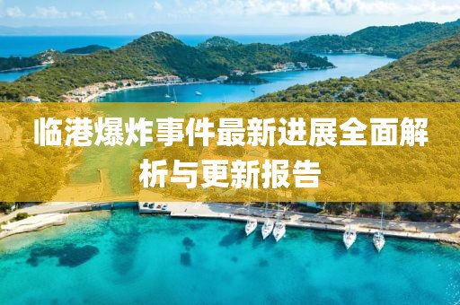 临港爆炸事件最新进展全面解析与更新报告