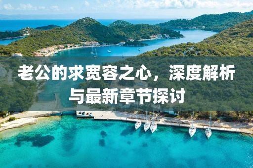 老公的求宽容之心，深度解析与最新章节探讨