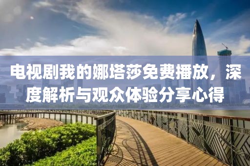 电视剧我的娜塔莎免费播放，深度解析与观众体验分享心得