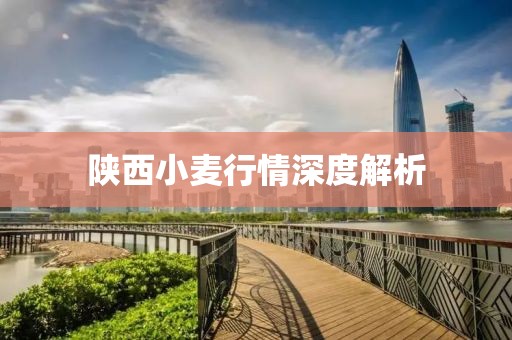 陕西小麦行情深度解析