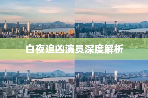 白夜追凶演员深度解析