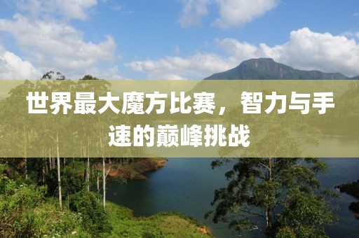 世界最大魔方比赛，智力与手速的巅峰挑战