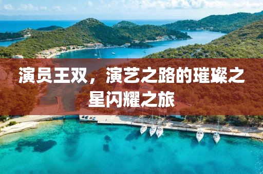 演员王双，演艺之路的璀璨之星闪耀之旅
