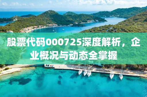 股票代码000725深度解析，企业概况与动态全掌握
