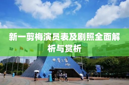 新一剪梅演员表及剧照全面解析与赏析