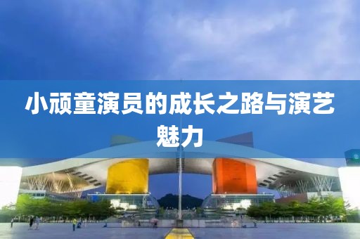小顽童演员的成长之路与演艺魅力
