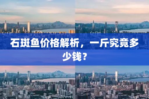 石斑鱼价格解析，一斤究竟多少钱？