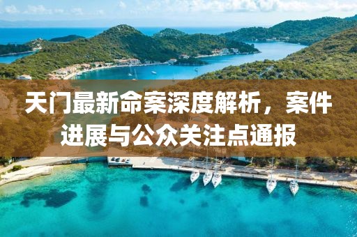 天门最新命案深度解析，案件进展与公众关注点通报