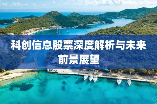 科创信息股票深度解析与未来前景展望