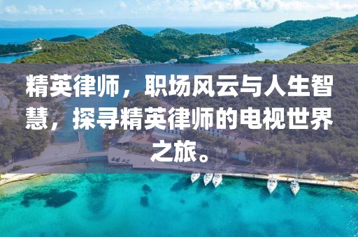 精英律师，职场风云与人生智慧，探寻精英律师的电视世界之旅。