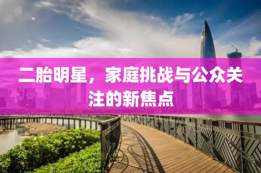 二胎明星，家庭挑战与公众关注的新焦点