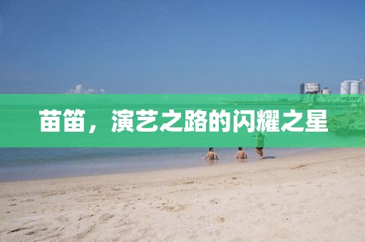 苗笛，演艺之路的闪耀之星