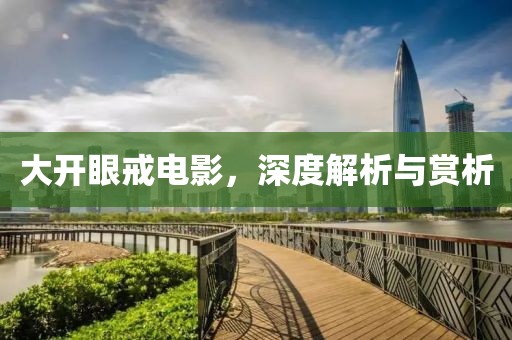大开眼戒电影，深度解析与赏析