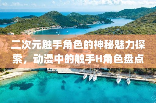 二次元触手角色的神秘魅力探索，动漫中的触手H角色盘点
