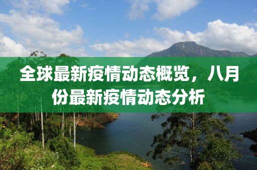 全球最新疫情动态概览，八月份最新疫情动态分析