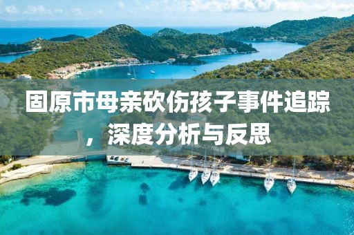 固原市母亲砍伤孩子事件追踪，深度分析与反思