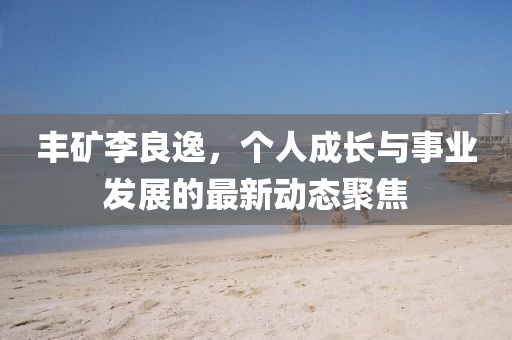 丰矿李良逸，个人成长与事业发展的最新动态聚焦