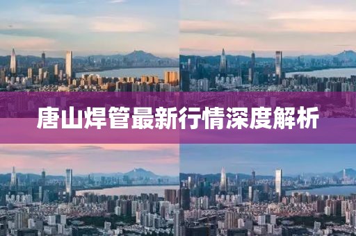 正版四不像 第5页