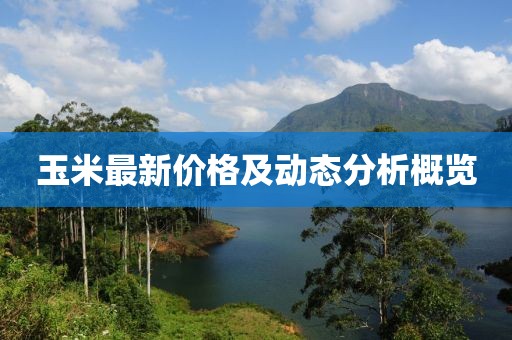 玉米最新价格及动态分析概览