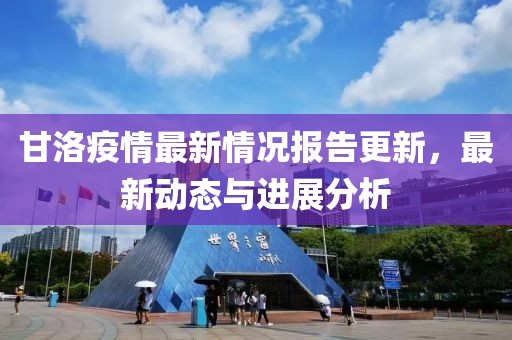 甘洛疫情最新情况报告更新，最新动态与进展分析