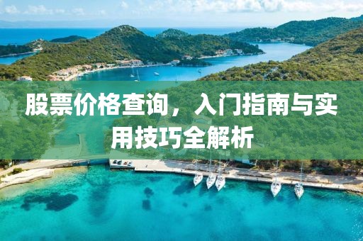 股票价格查询，入门指南与实用技巧全解析