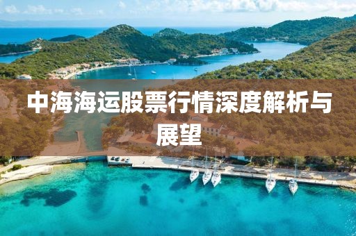 中海海运股票行情深度解析与展望