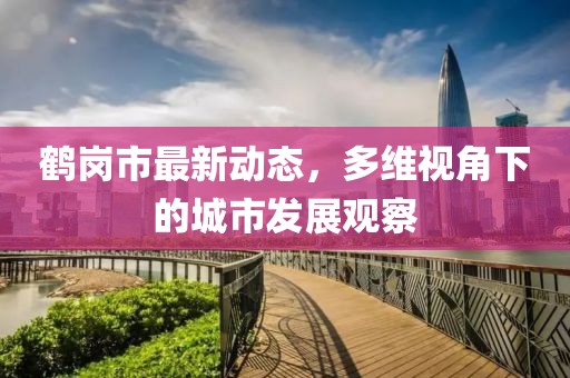 鹤岗市最新动态，多维视角下的城市发展观察