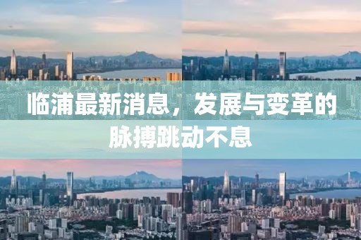 临浦最新消息，发展与变革的脉搏跳动不息