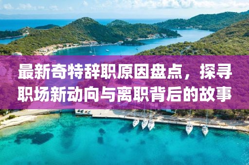 最新奇特辞职原因盘点，探寻职场新动向与离职背后的故事
