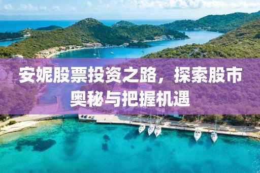 安妮股票投资之路，探索股市奥秘与把握机遇