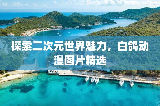 探索二次元世界魅力，白鸽动漫图片精选
