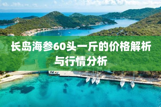 长岛海参60头一斤的价格解析与行情分析