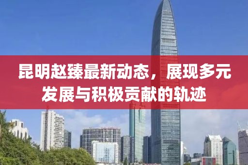 昆明赵臻最新动态，展现多元发展与积极贡献的轨迹