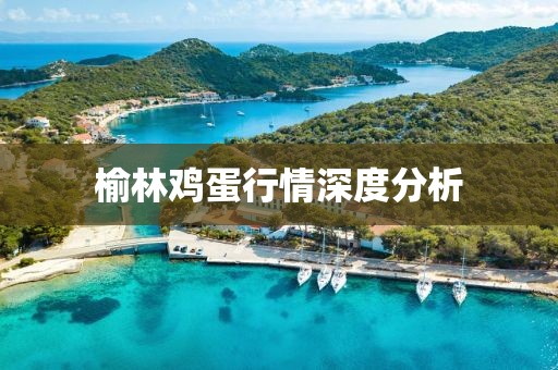榆林鸡蛋行情深度分析