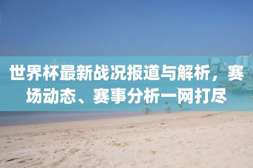 世界杯最新战况报道与解析，赛场动态、赛事分析一网打尽