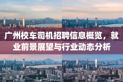广州校车司机招聘信息概览，就业前景展望与行业动态分析