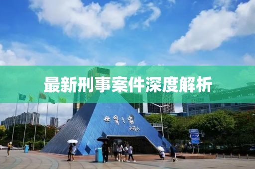 最新刑事案件深度解析