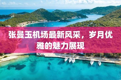 张曼玉机场最新风采，岁月优雅的魅力展现
