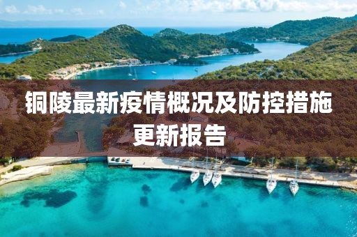 铜陵最新疫情概况及防控措施更新报告