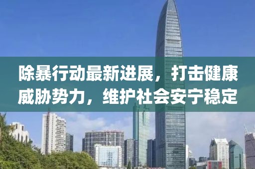除暴行动最新进展，打击健康威胁势力，维护社会安宁稳定