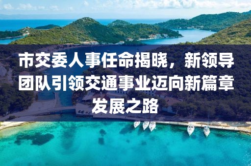 市交委人事任命揭晓，新领导团队引领交通事业迈向新篇章发展之路