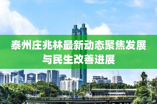泰州庄兆林最新动态聚焦发展与民生改善进展