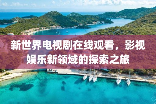 新世界电视剧在线观看，影视娱乐新领域的探索之旅