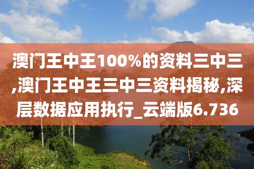 澳门王中王100%的资料三中三,澳门王中王三中三资料揭秘,深层数据应用执行_云端版6.736
