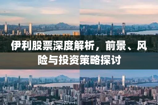伊利股票深度解析，前景、风险与投资策略探讨