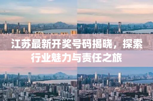 江苏最新开奖号码揭晓，探索行业魅力与责任之旅