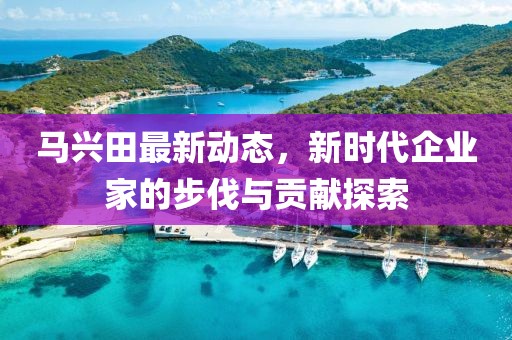 马兴田最新动态，新时代企业家的步伐与贡献探索