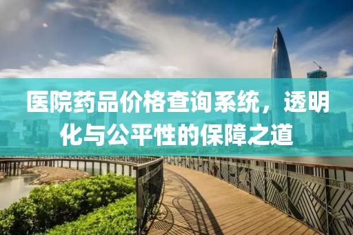 医院药品价格查询系统，透明化与公平性的保障之道