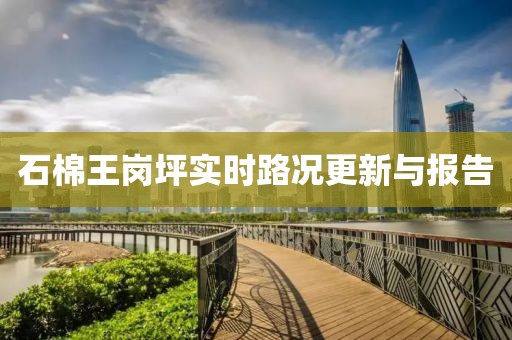 石棉王岗坪实时路况更新与报告